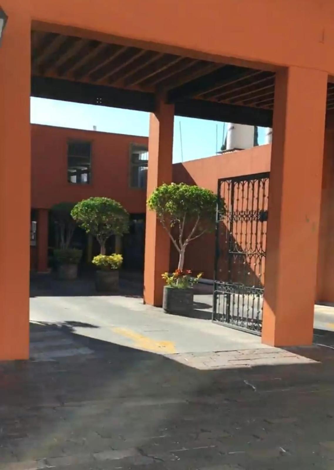 Lele Panchito Y Lavanda Juntos En El Centro 케레타로 외부 사진